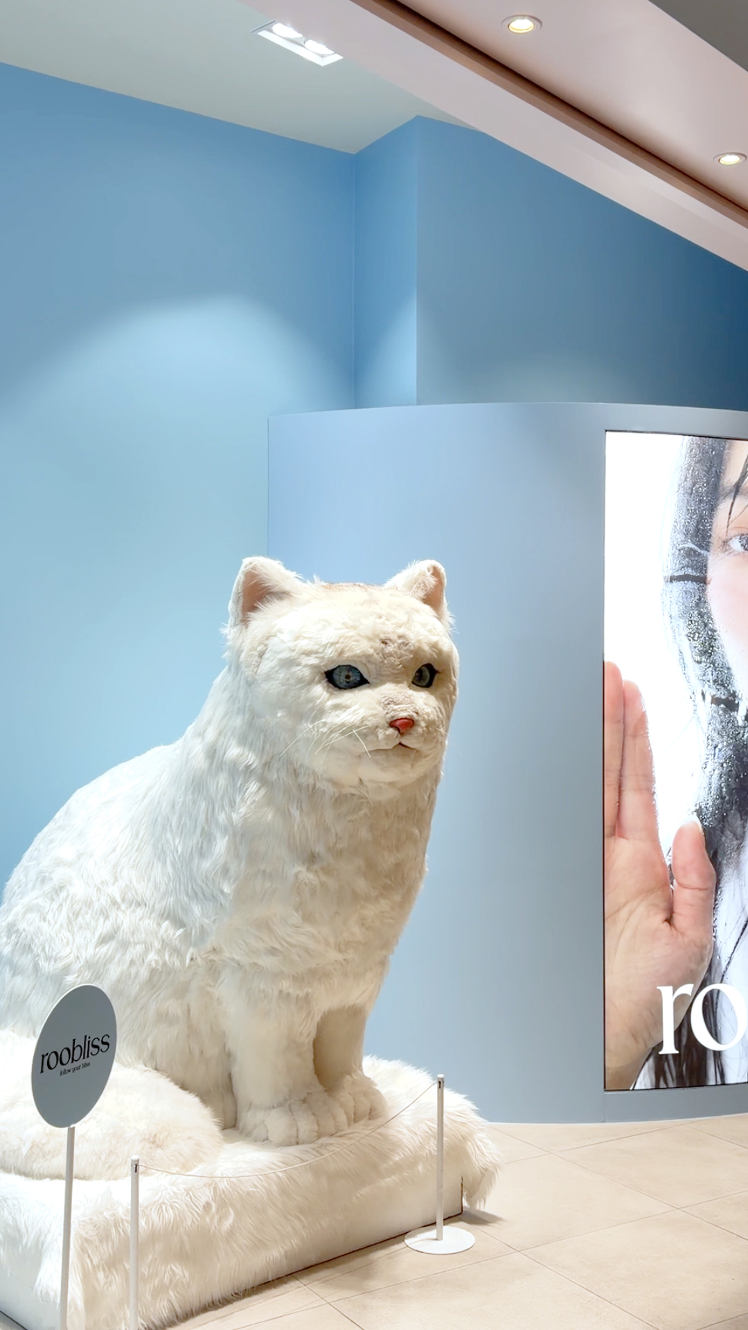 Pop-up image 2