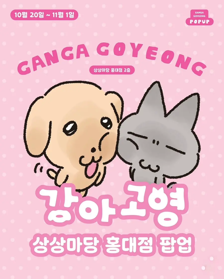 강아고영 팝업