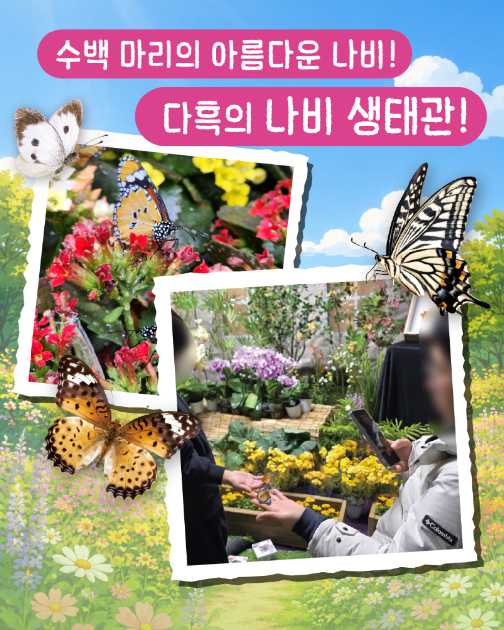 Pop-up image 2