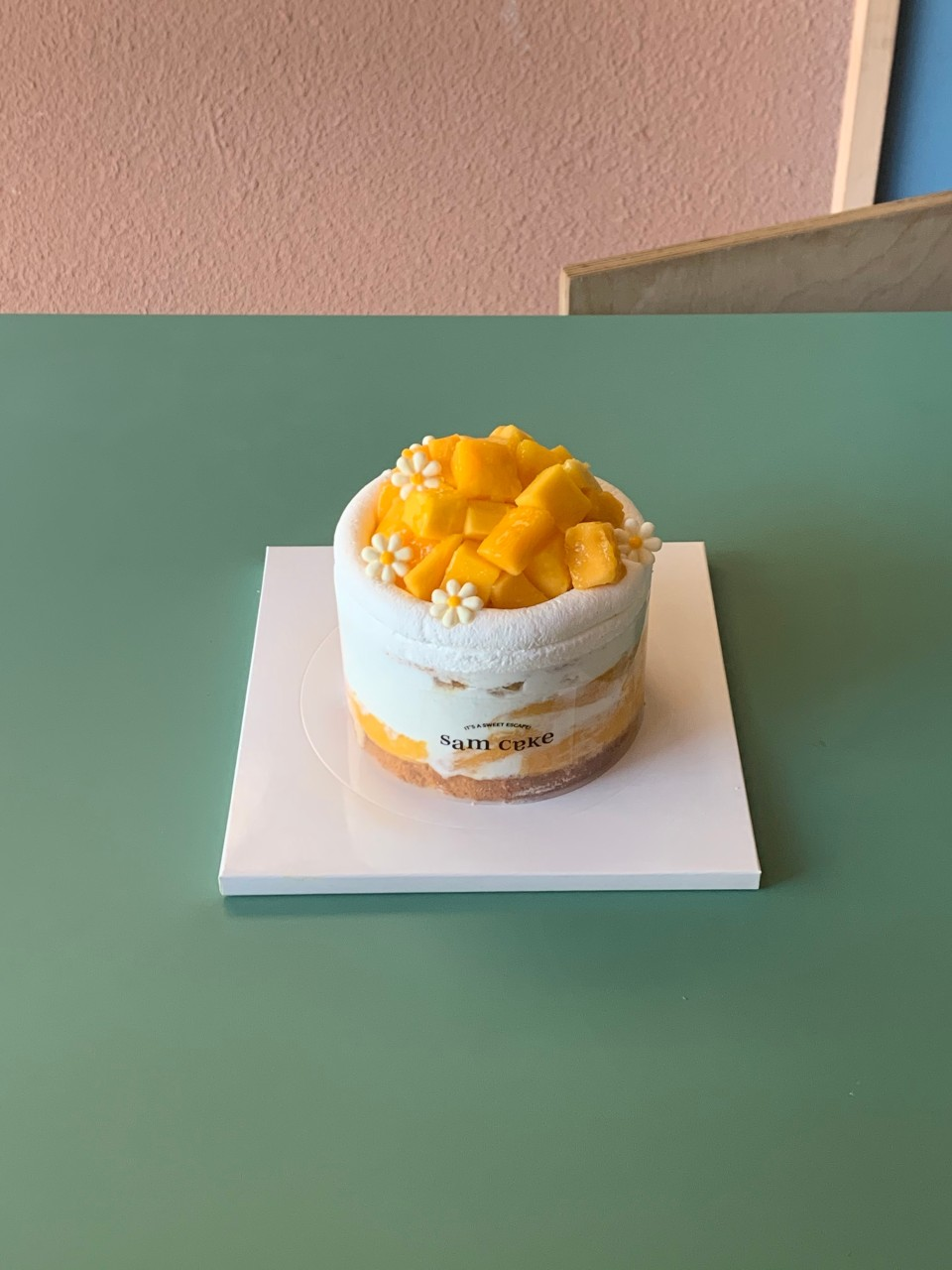 Pop-up image 2