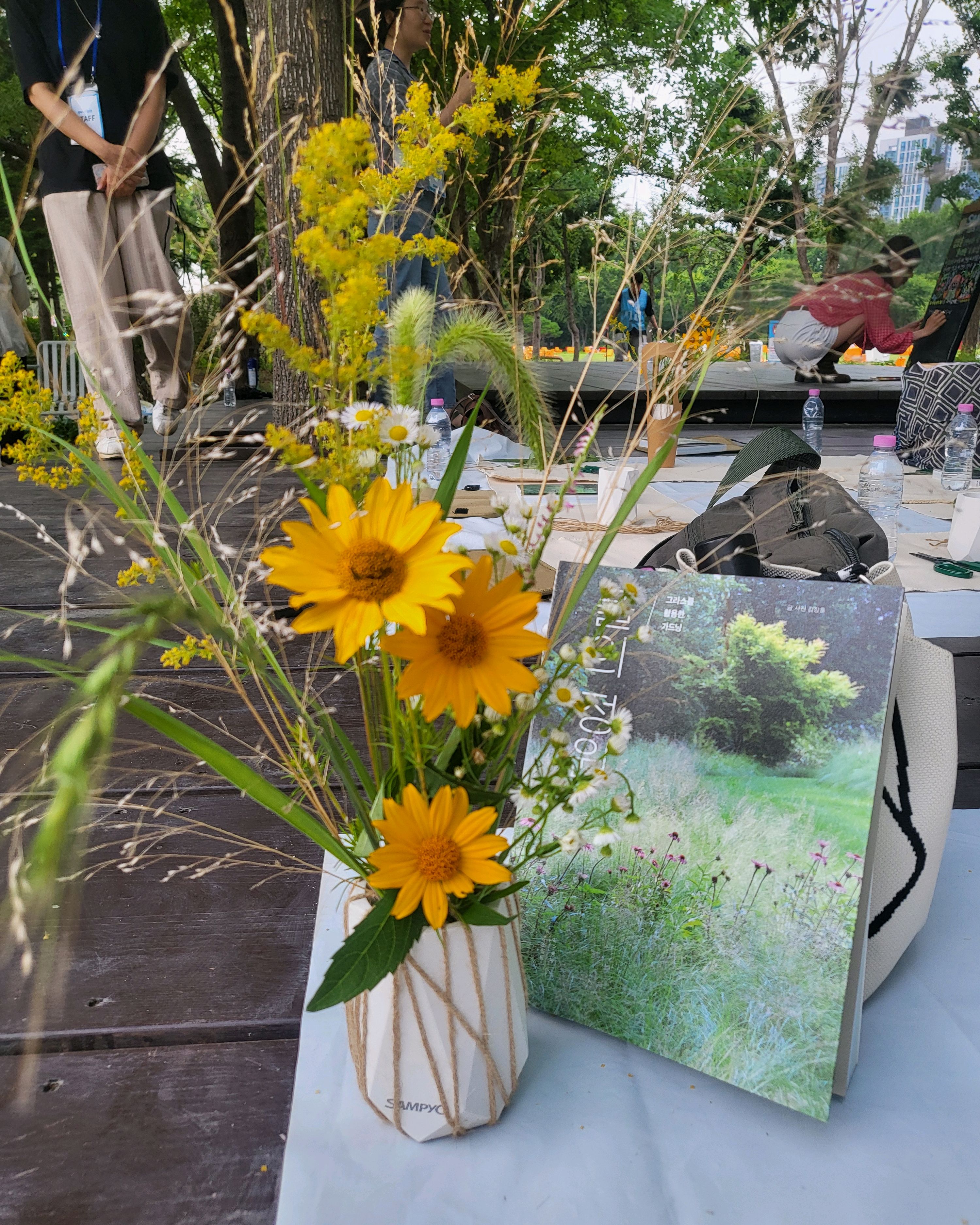 Pop-up image 3