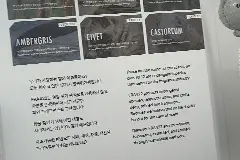 快闪店图片 2