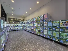 Pop-up image 2